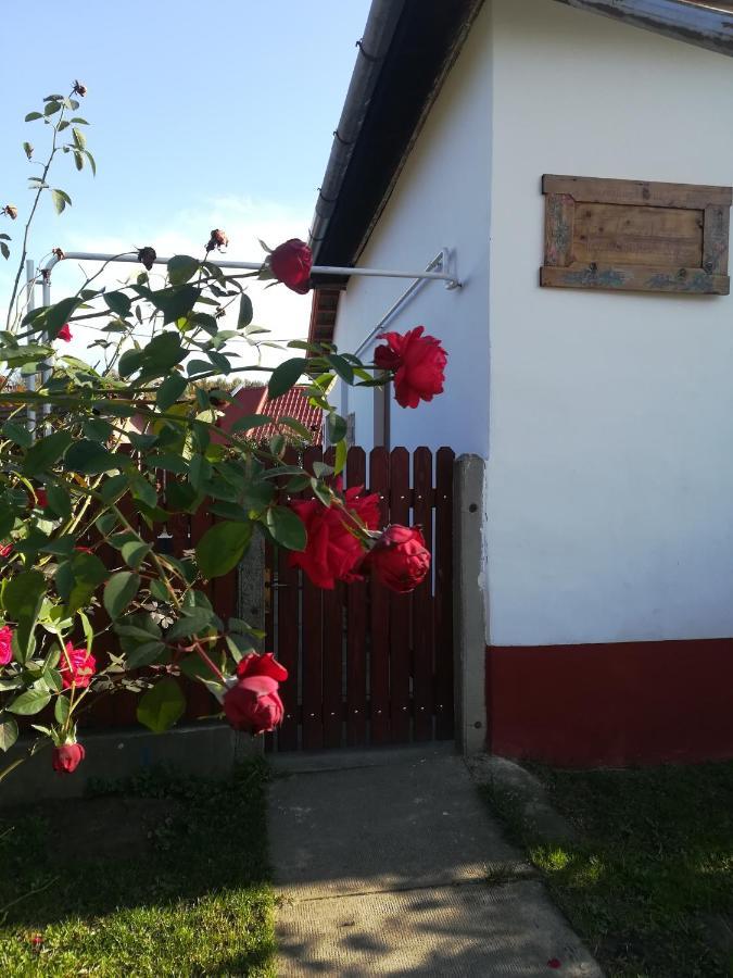 Negy Tuecsoek Vendeghaz Hotel Nagykoru Exterior photo